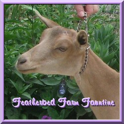 CLICK HERE   ~ Featherbed Farm Fauntine ~