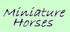 MINIATURE HORSES