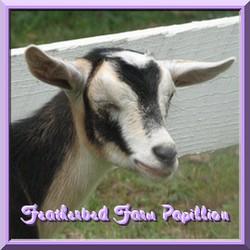 CLICK HERE   ~ Featherbed Farm Papillion ~