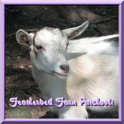CLICK HERE  ~ Featherbed Farm Patchouli ~